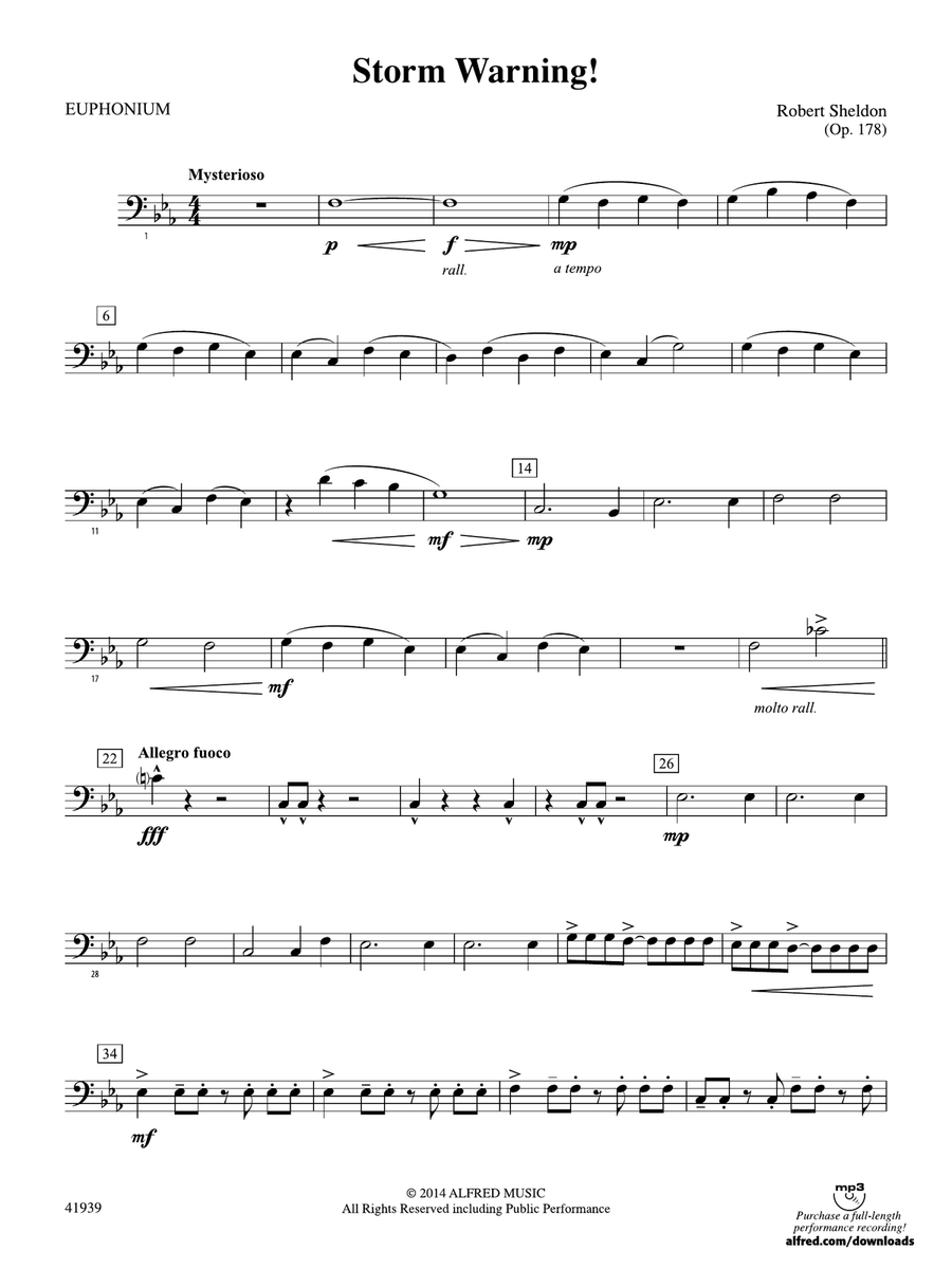Storm Warning!: Baritone B.C.