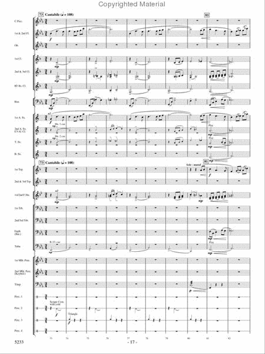 Upon These Wings Concert Band scores gallery preview page 16