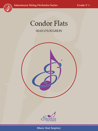 Book cover for Condor Flats
