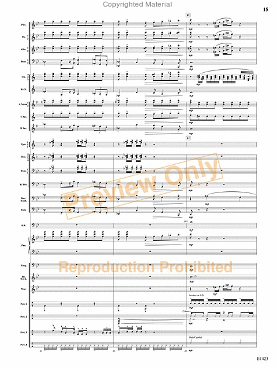 Dakota Fanfare Concert Band scores gallery preview page 46