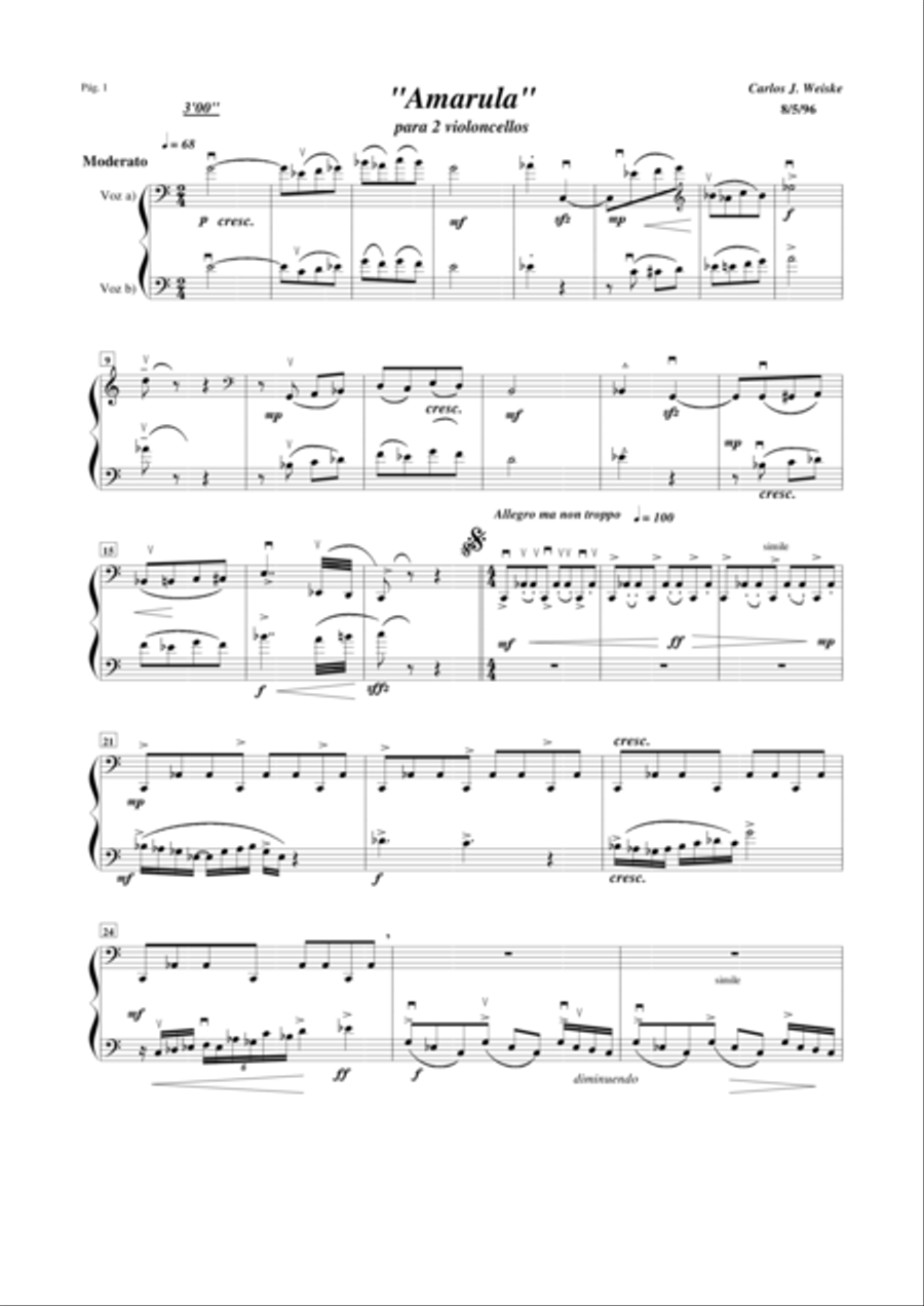 AMARULA Duetto for Cello String Duet scores gallery preview page 1