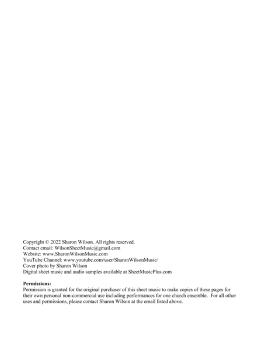 This World Is Not My Home (Easy Violin and Cello Duet with Piano Accompaniment) Piano Trio scores gallery preview page 2