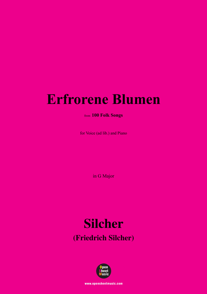 Silcher-Erfrorene Blumen,for Voice(ad lib.) and Piano image number null