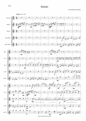 Book cover for Details for flute quintet (1 piccolo, 2 C flutes, 1 alto flute, 1 bass flute)