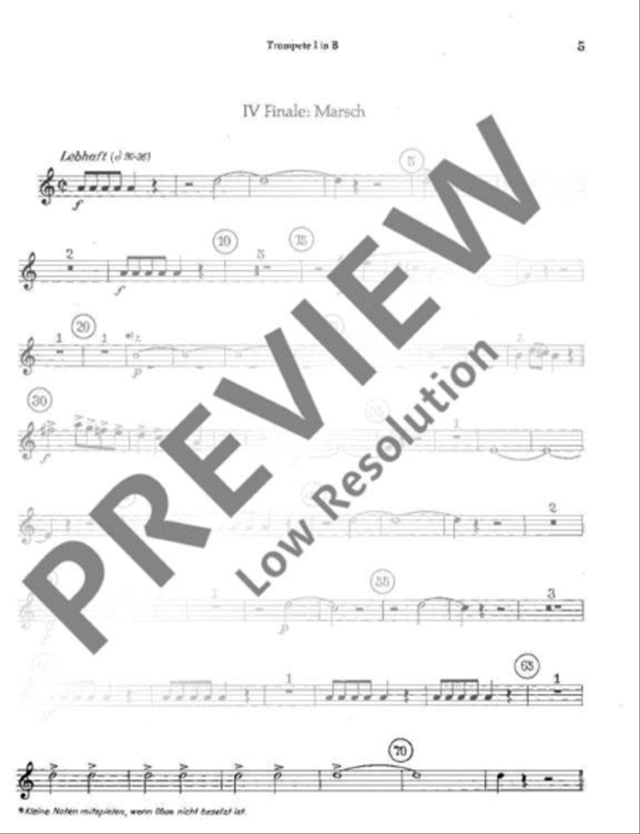 Plöner Musiktag Orchestra scores gallery preview page 20
