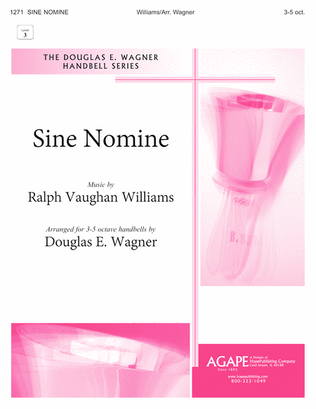 Book cover for Sine Nomine