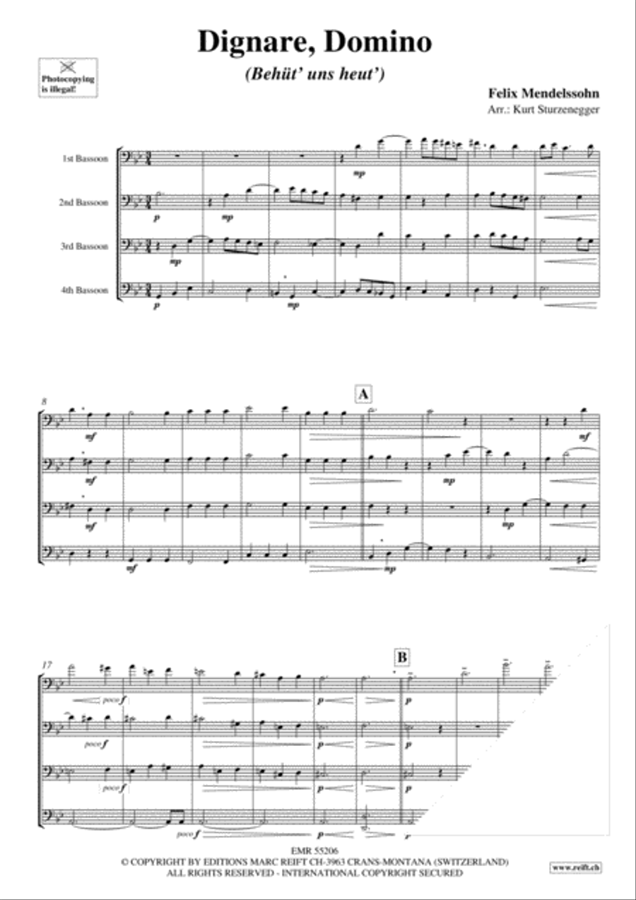 Dignare, Domino Bassoon Quartet scores gallery preview page 3
