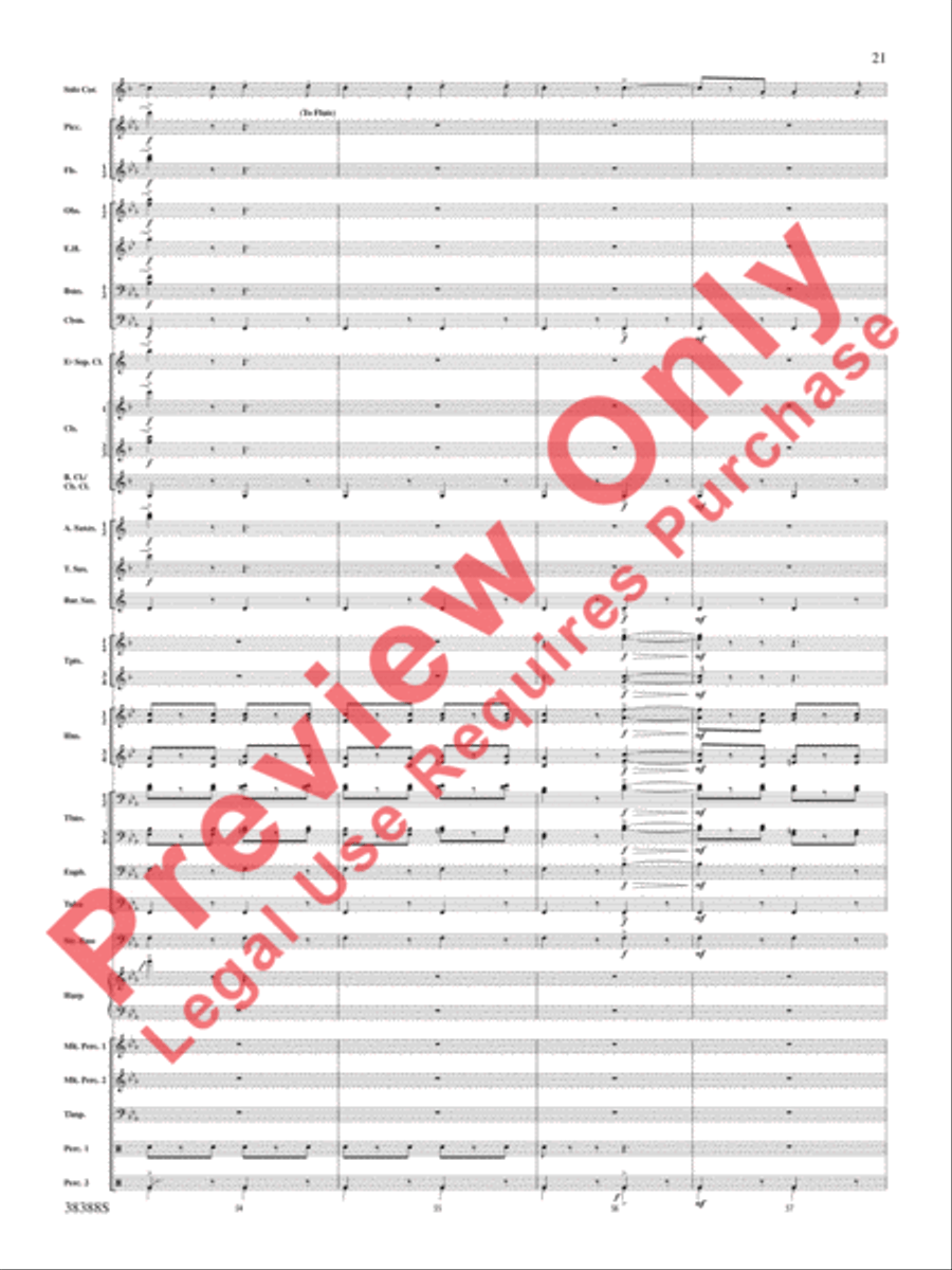 Napoli Napoli Concert Band scores gallery preview page 22