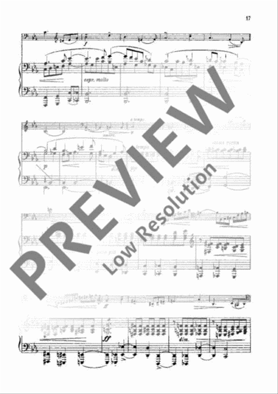 Sonata G Minor Piano Accompaniment scores gallery preview page 16