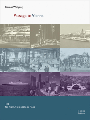 Book cover for Passage to Vienna