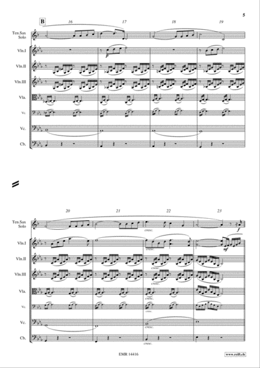 Ave Maria String Orchestra scores gallery preview page 5