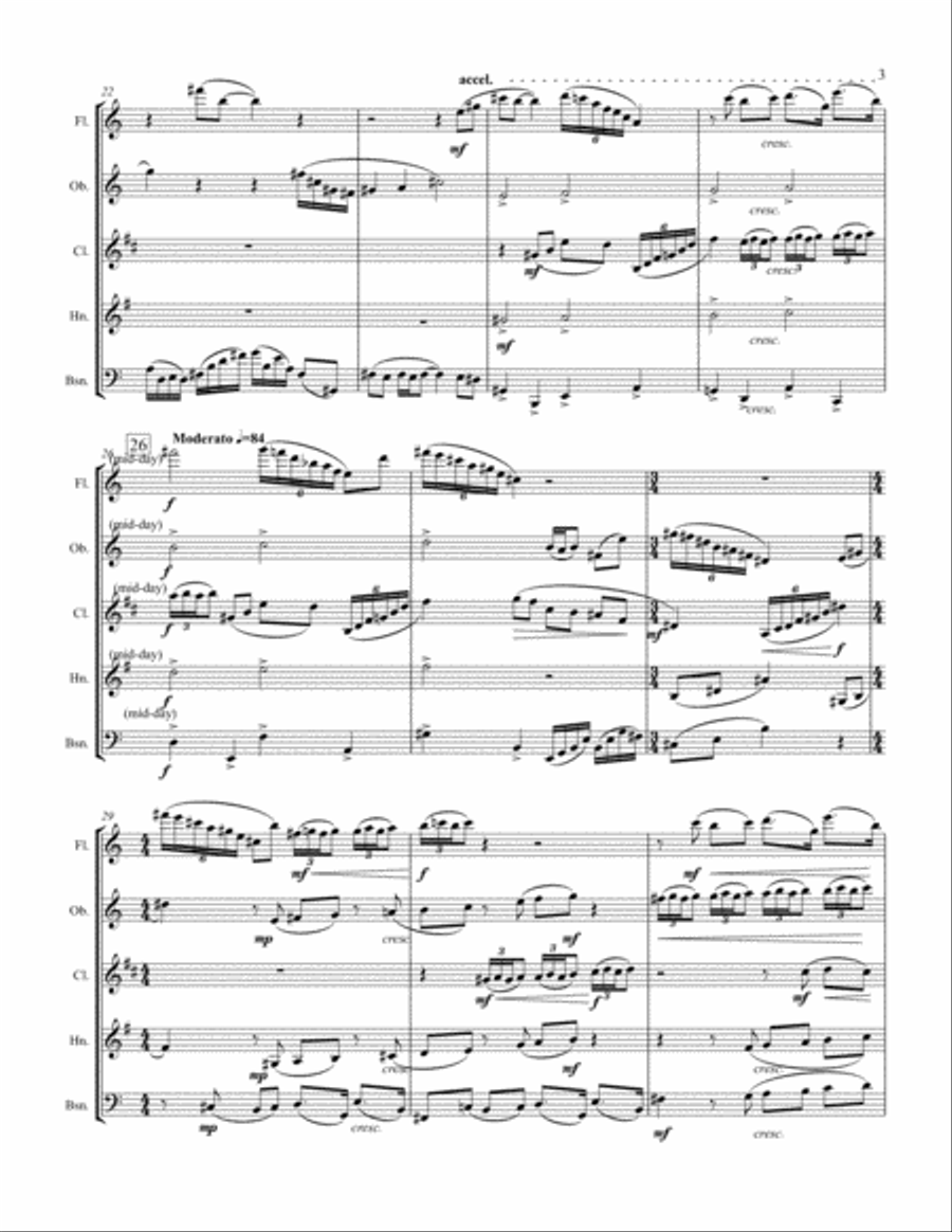 Scenes from Tom Sawyer for Woodwind Quintet Woodwind Quintet scores gallery preview page 3