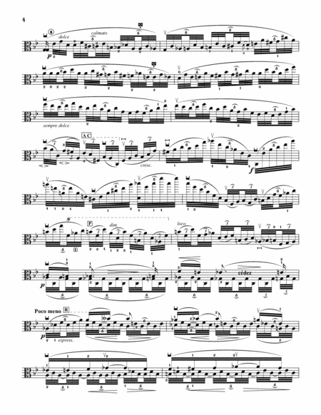 Sonata No.3 "Ballade", transcribed for Viola