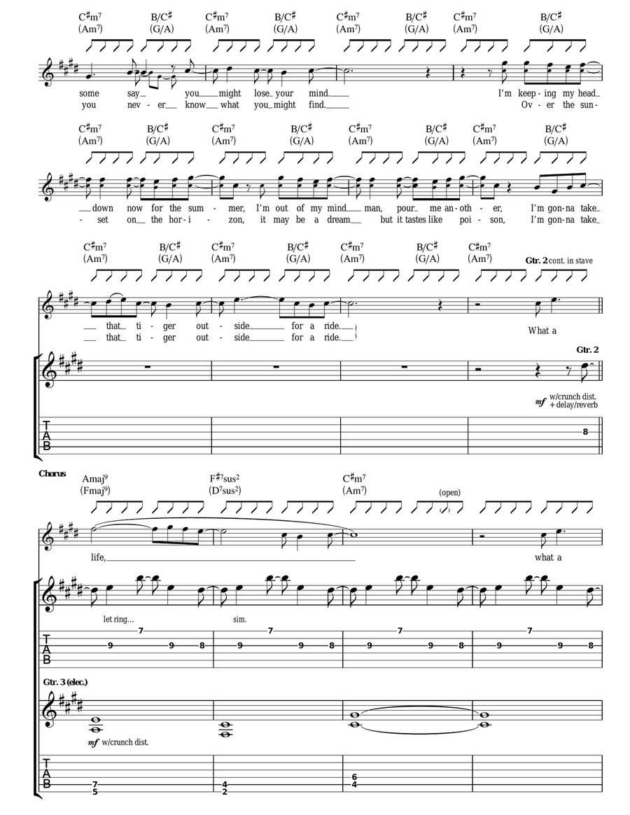 AKA... What A Life! Guitar Tablature scores gallery preview page 2