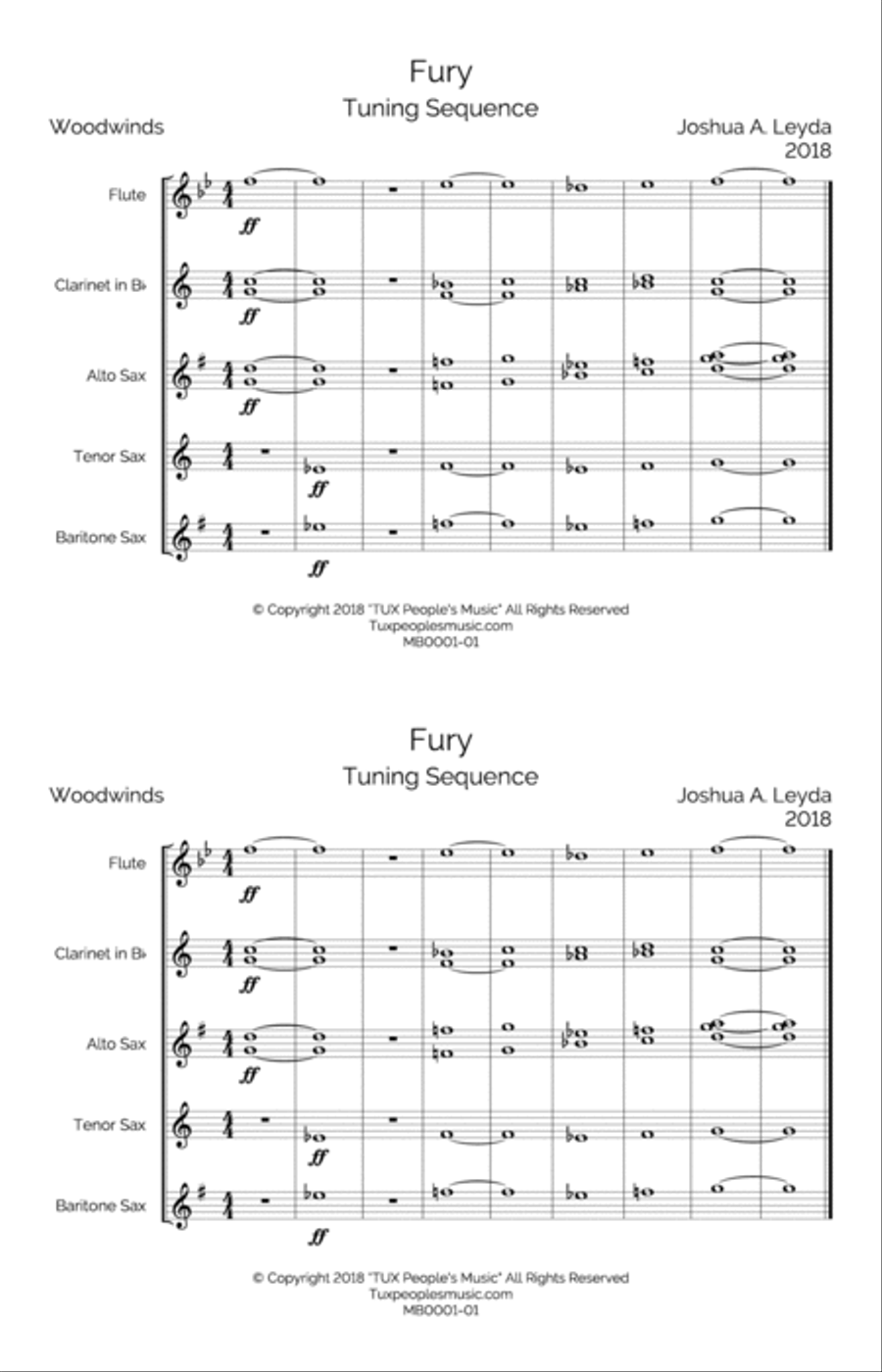 Fury (Tuning Sequence Chorale) image number null