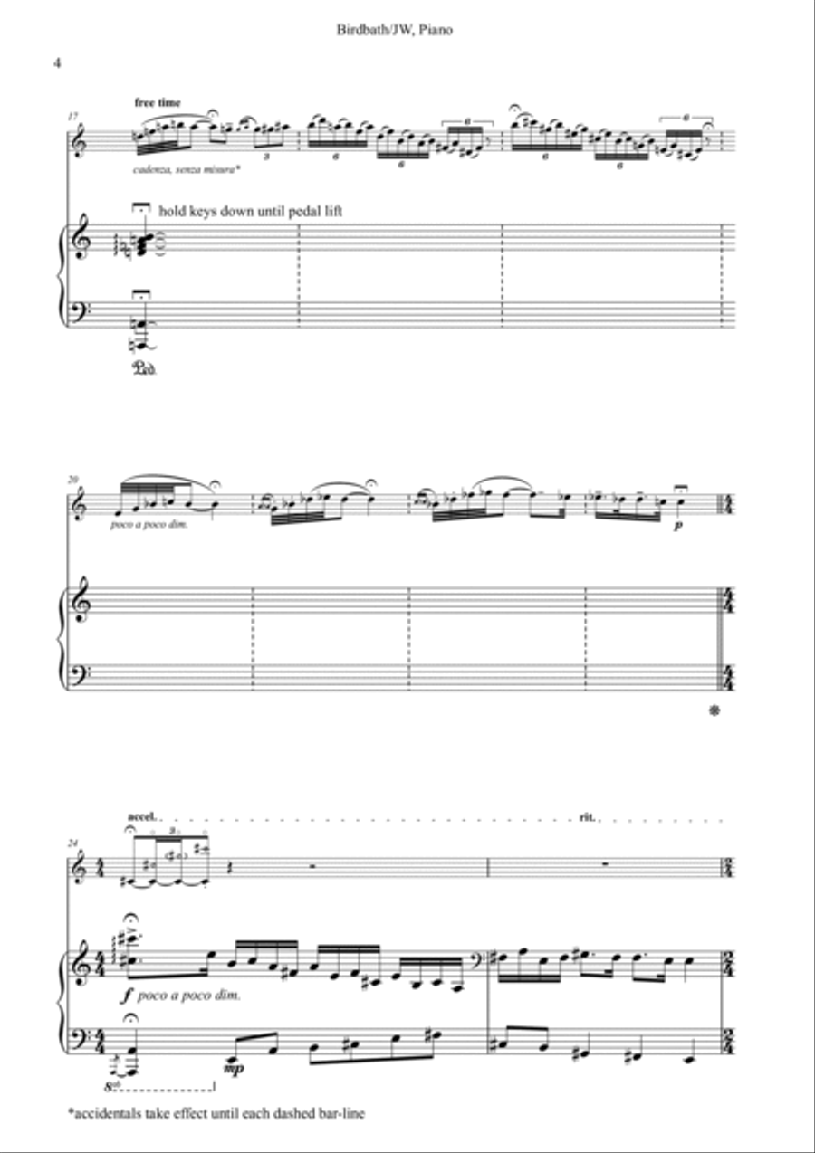 Birdbath Flute Solo scores gallery preview page 6