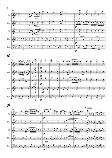 Brahms: Hungarian Dances (Ungarische Tänze) WoO1 No.5 - wind quintet image number null