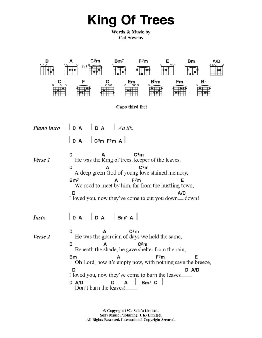 King Of Trees King Of Trees Acoustic Guitar scores gallery preview page 1