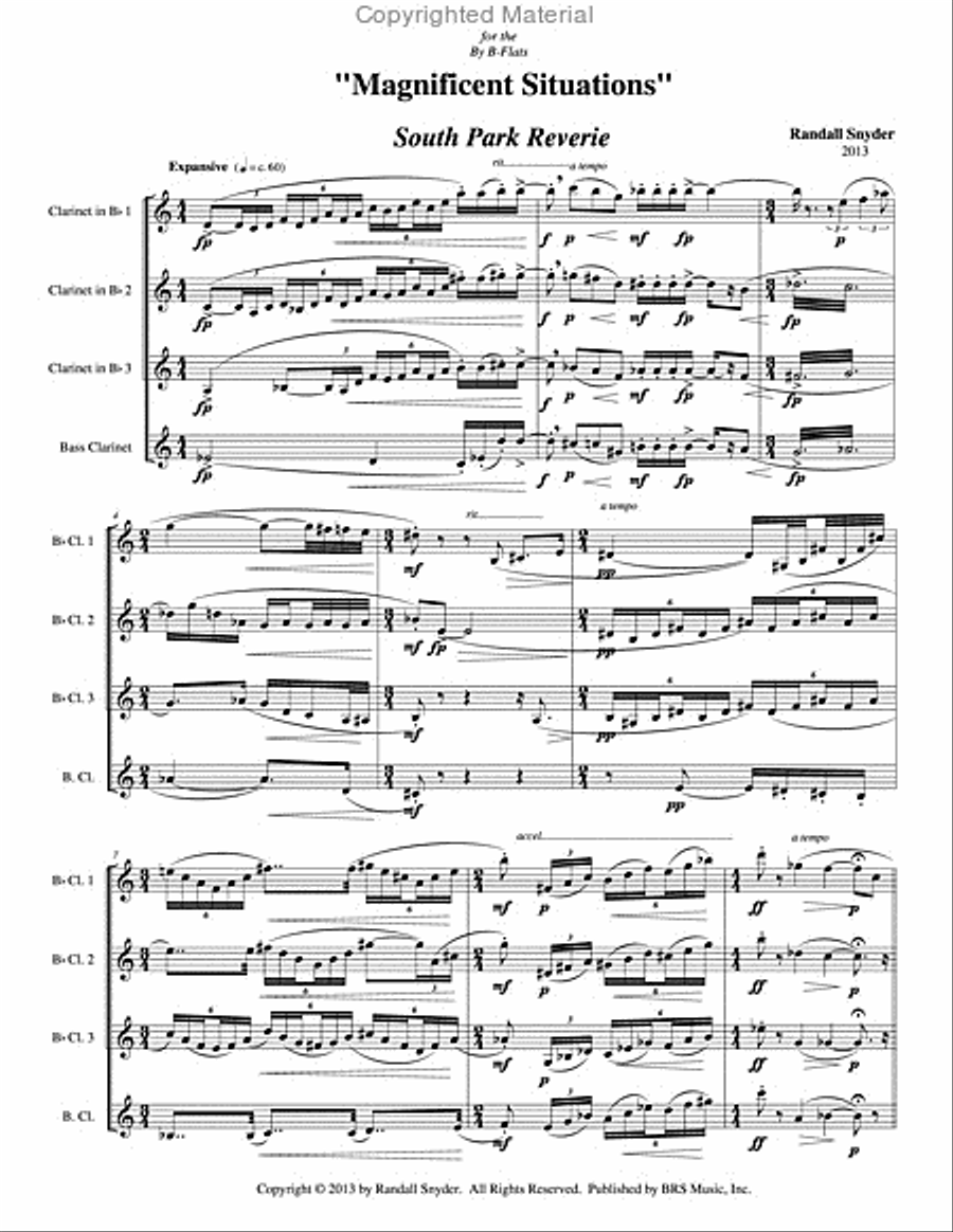 Magnificent Situations Magnificent Situations Clarinet Quartet scores gallery preview page 2
