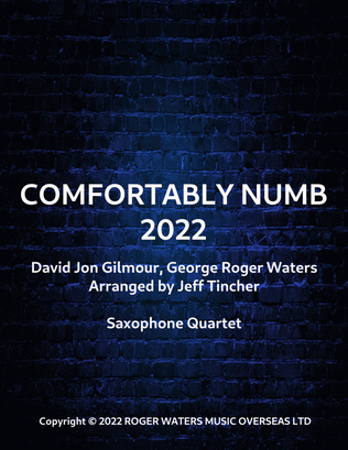 Comfortably Numb 2022