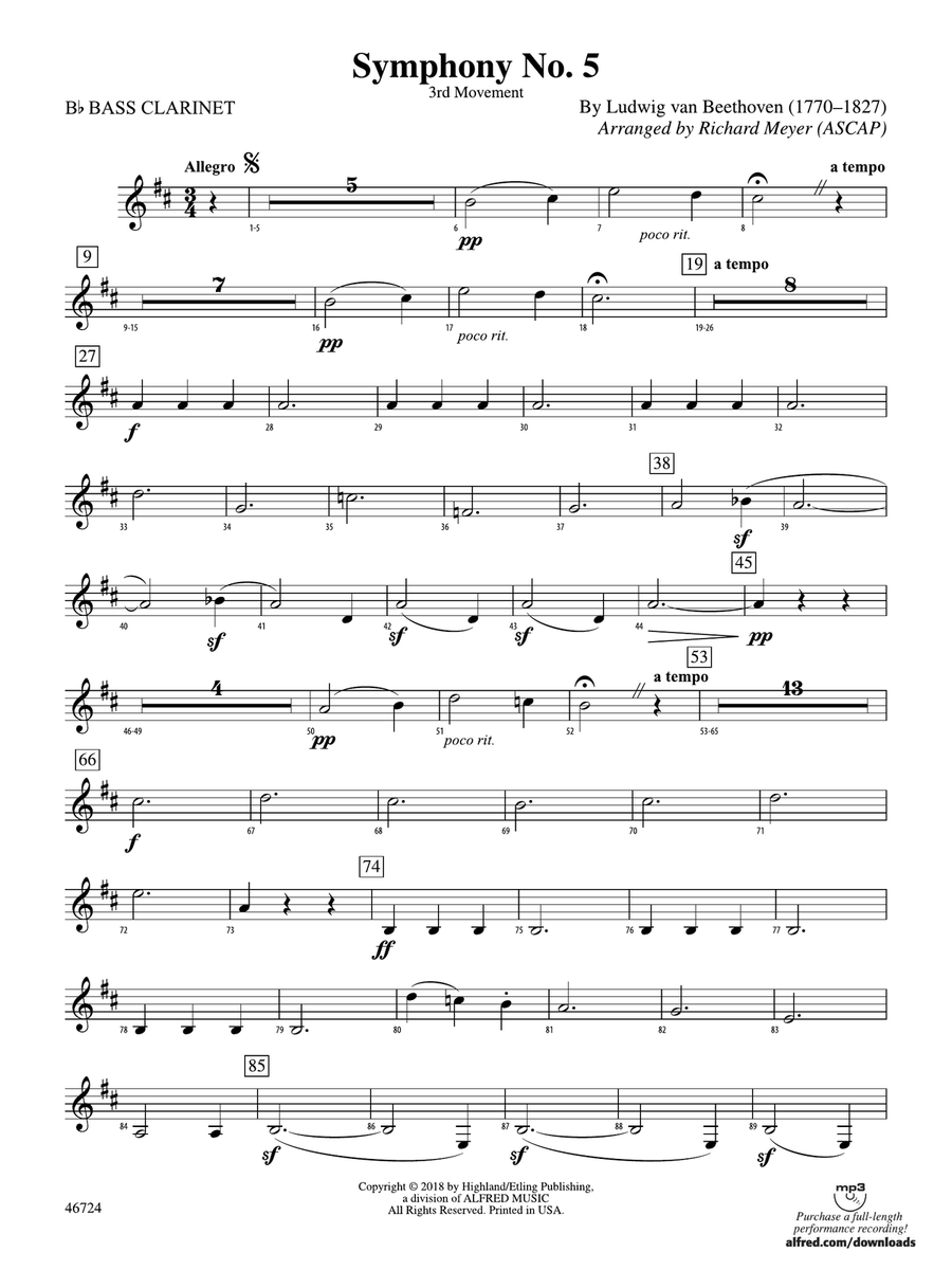 Symphony No. 5: B-flat Bass Clarinet