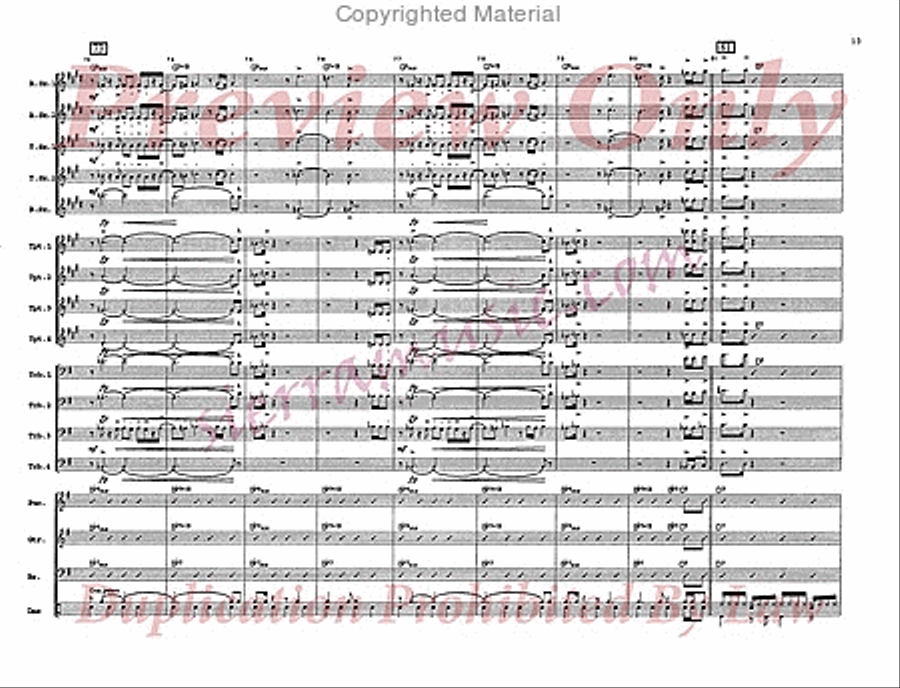 Chicken Polo Chicken Polo Big Band scores gallery preview page 14