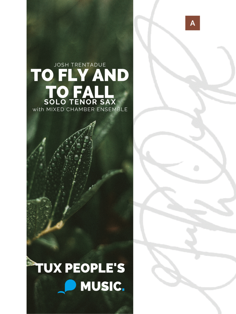 To fly and to fall (Concerto for Tenor Saxophone & Chamber Ensemble) Bassoon scores gallery preview page 1