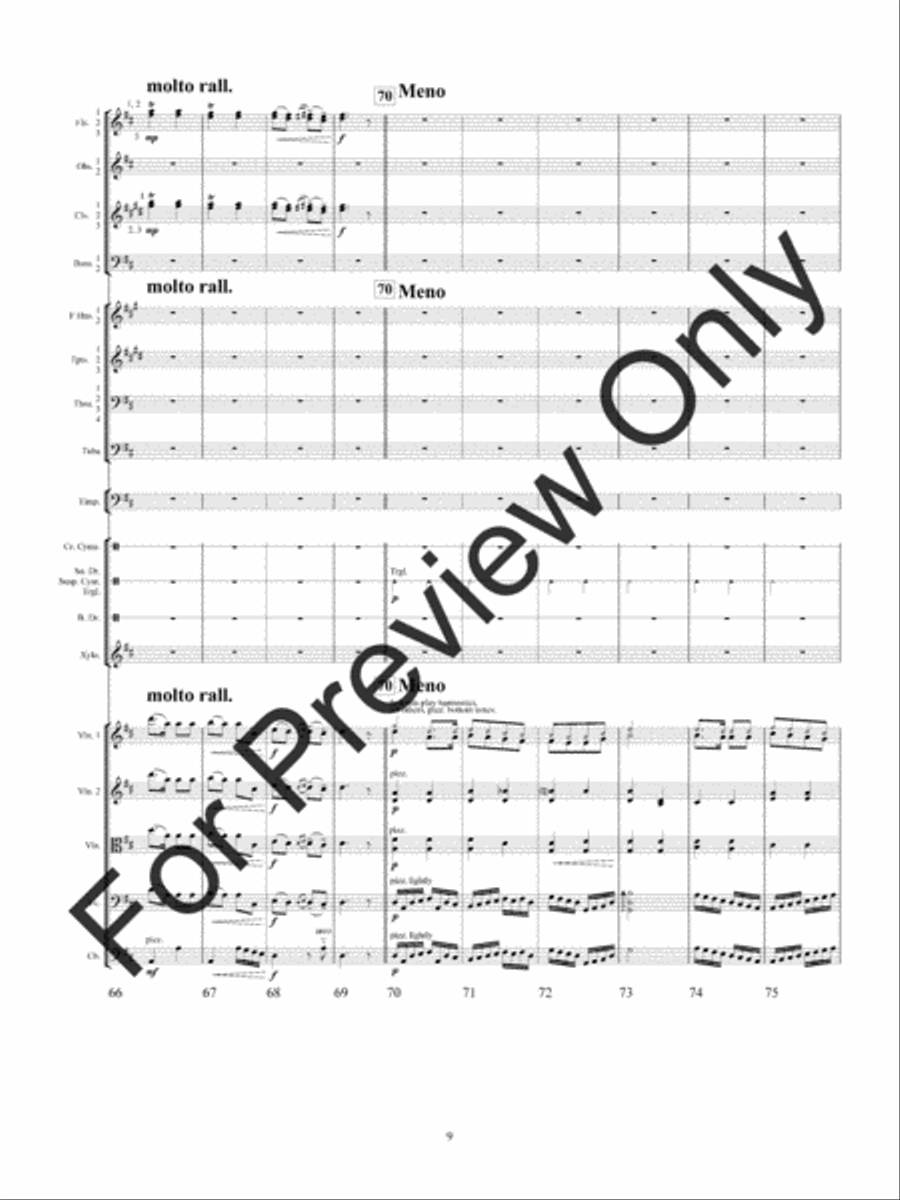 Csardas (Score) Full Orchestra scores gallery preview page 13