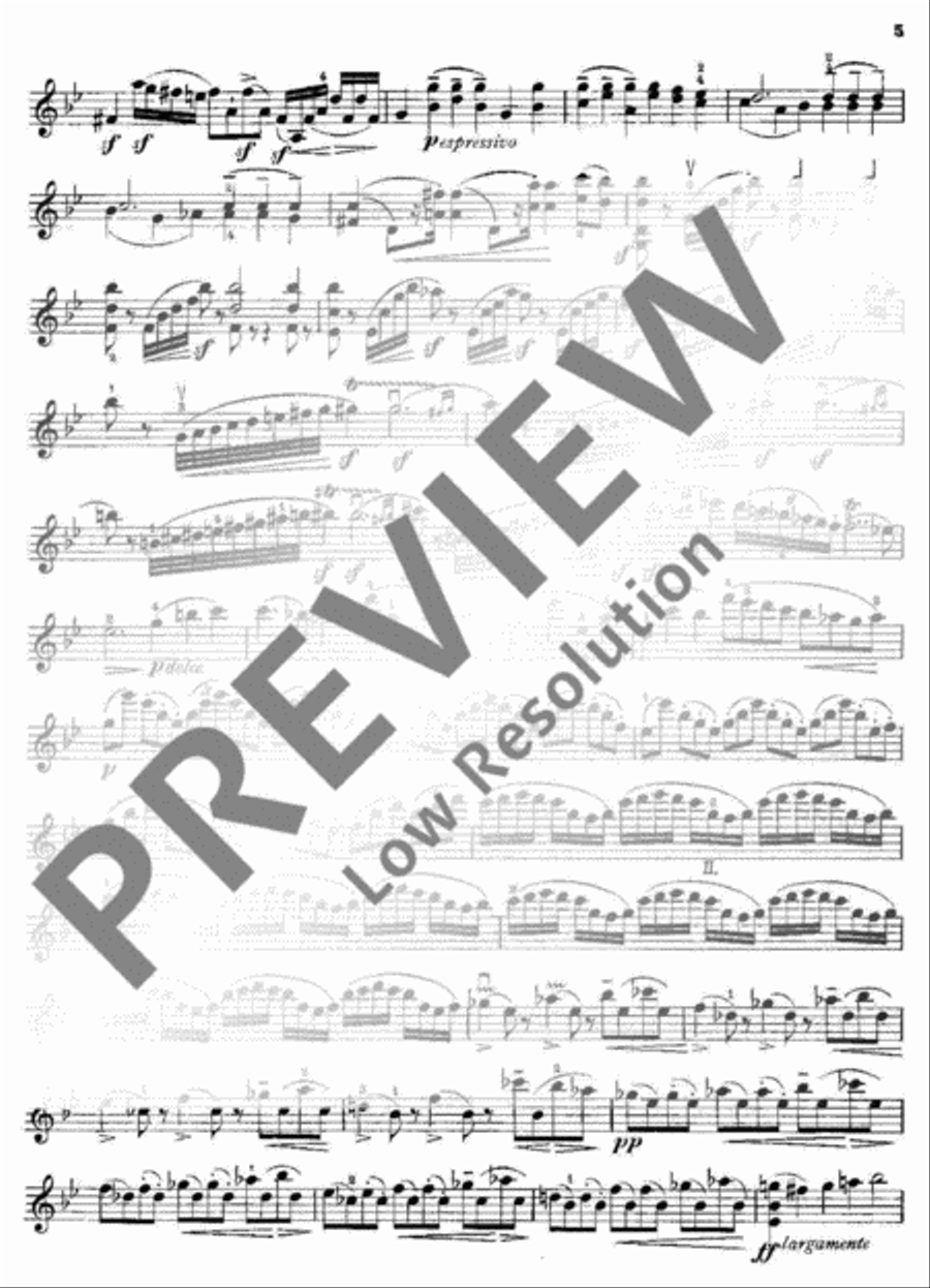 Chaconne Violin Solo scores gallery preview page 21
