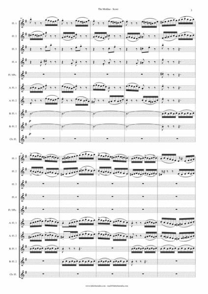 The Moldau by Bedrich Smetana - Symphonic Poem for Flute Choir image number null