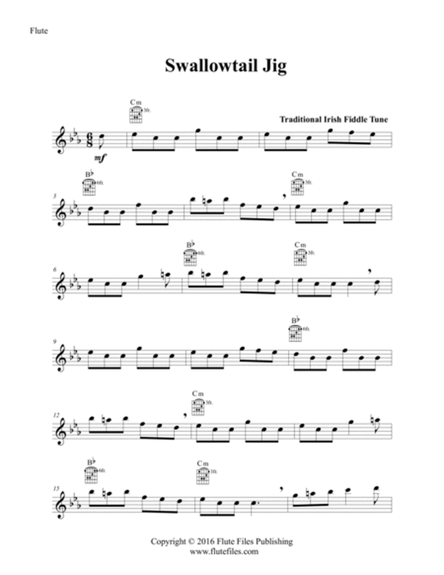 Swallowtail Jig - Flute Solo and Guitar image number null