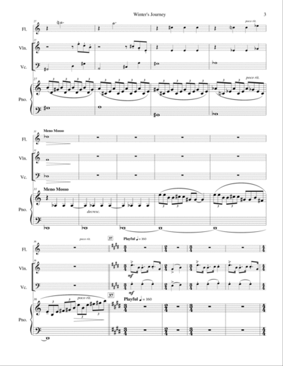 Winter's Journey Chamber Music scores gallery preview page 5