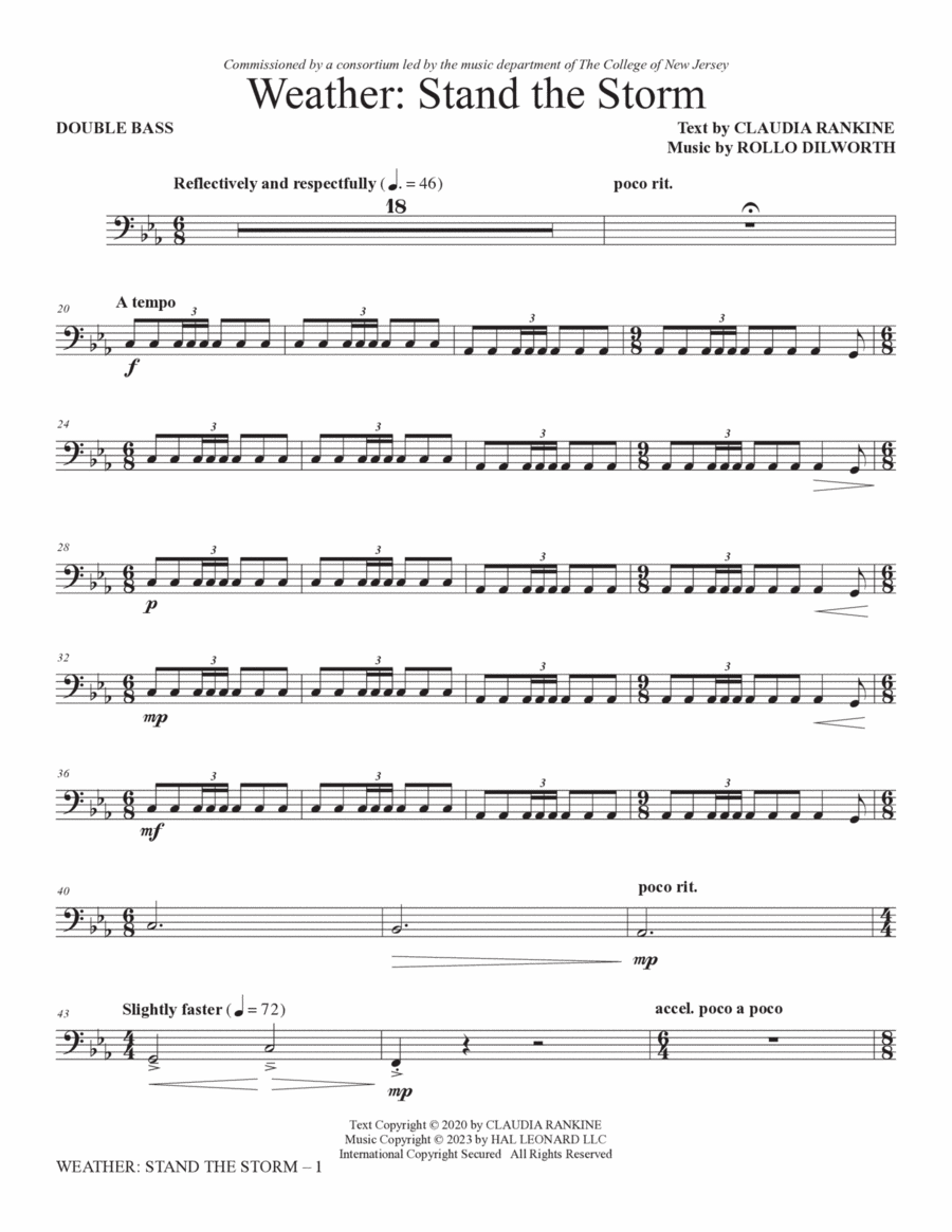 Weather: Stand The Storm (Chamber Ensemble) - Double Bass Choir scores gallery preview page 1