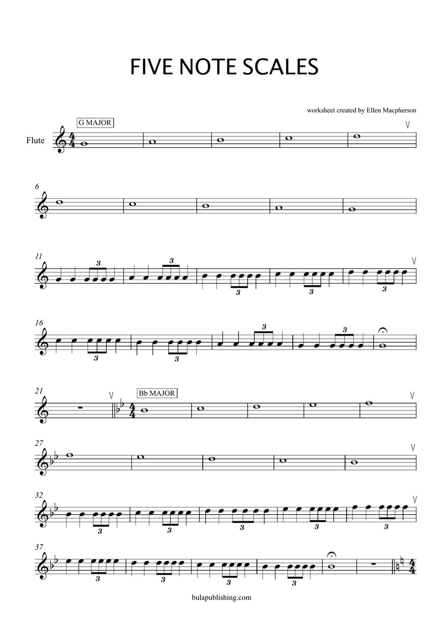 Which scale flute for on sale beginners
