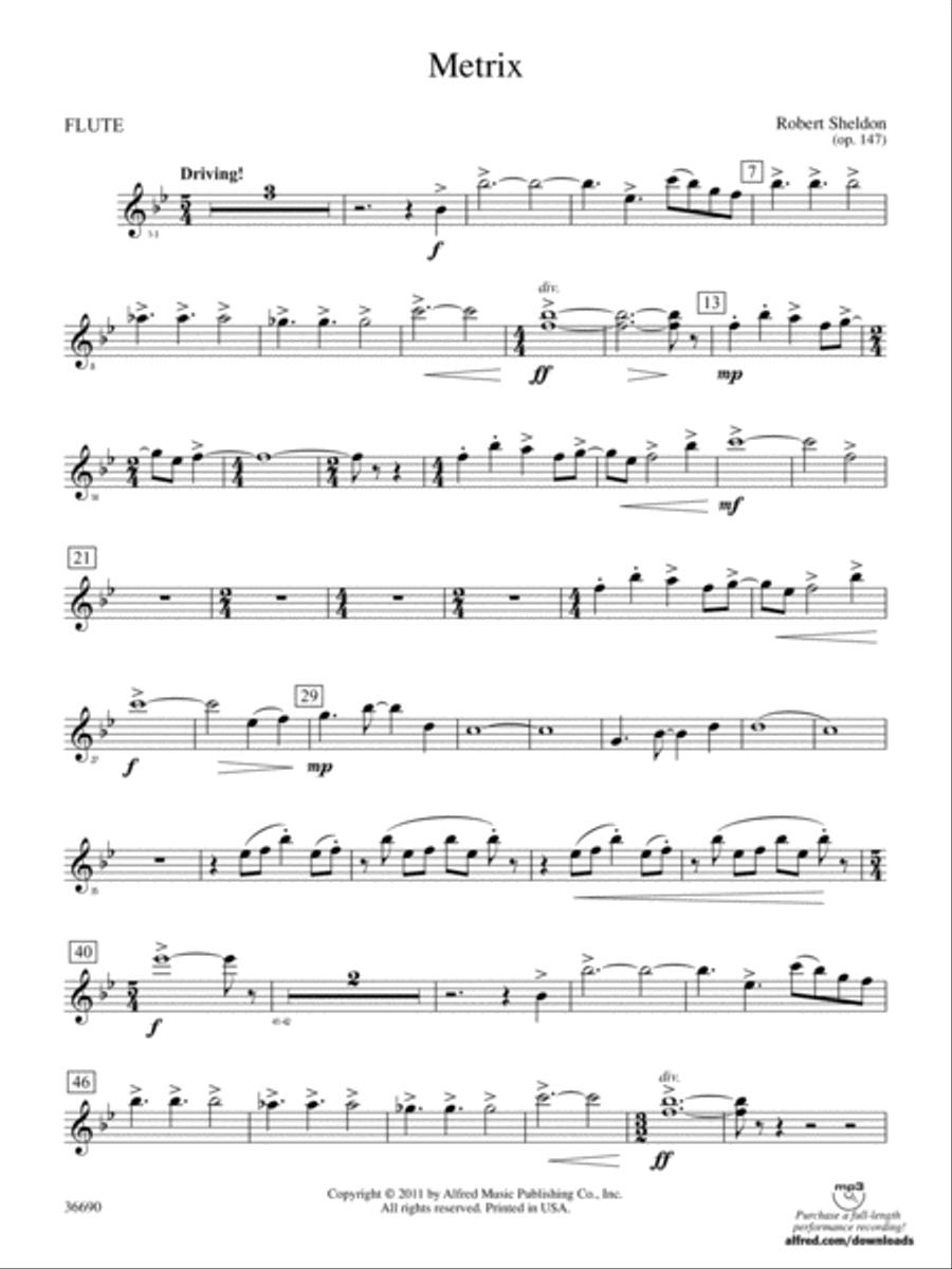 Book cover for Metrix: Flute