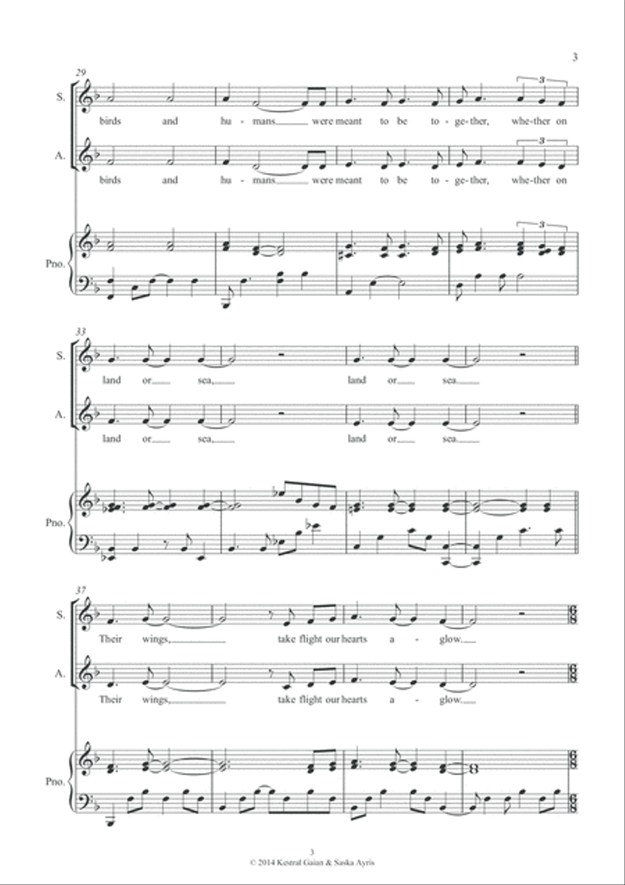 Birds and Humans SA scores gallery preview page 4