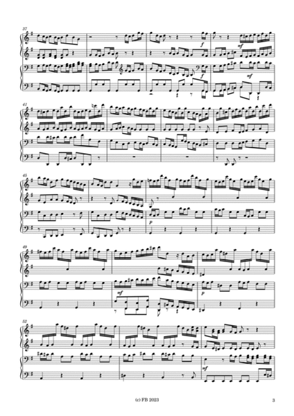 Brandenburgisches Konzert Nr. 3 G-Dur 1. Satz BWV 1048 (four hands organ duet) image number null