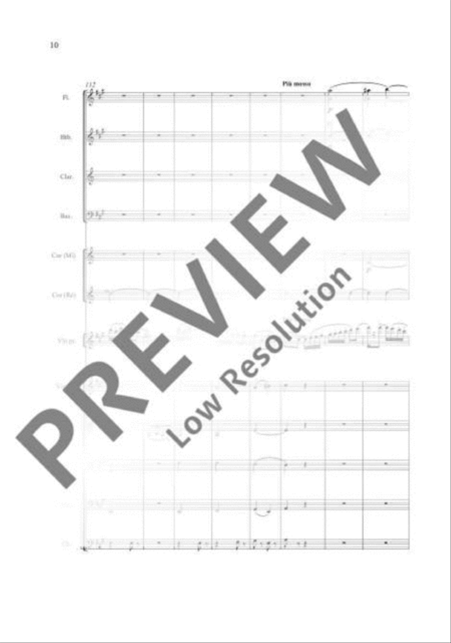 Havanaise Havanaise Orchestra scores gallery preview page 19