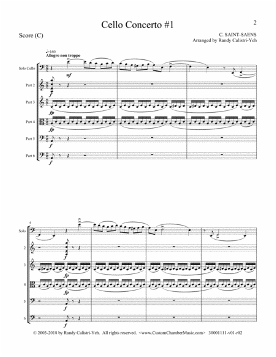 Saint-Saens Cello Concerto #1 in A minor, Op. 33 (with string orchestra) String Orchestra scores gallery preview page 2