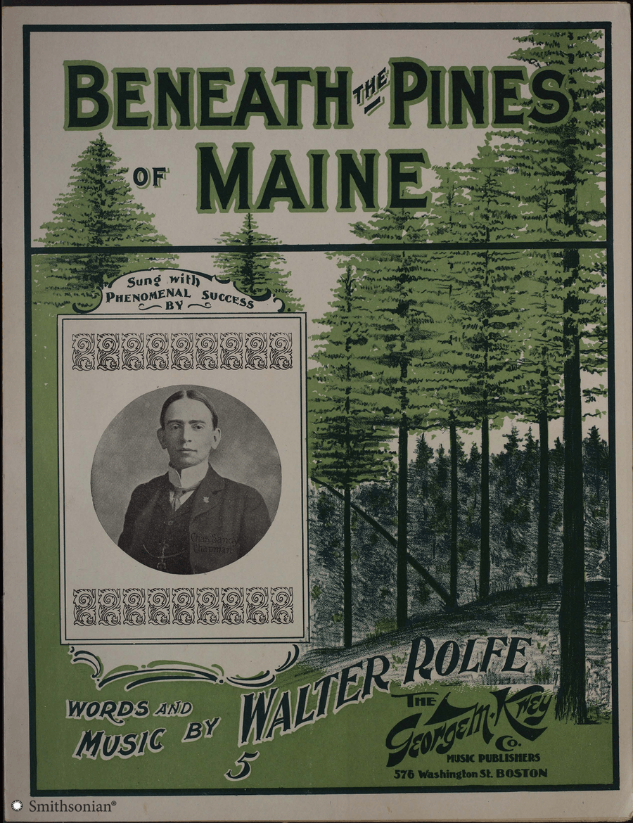 Beneath The Pines of Maine
