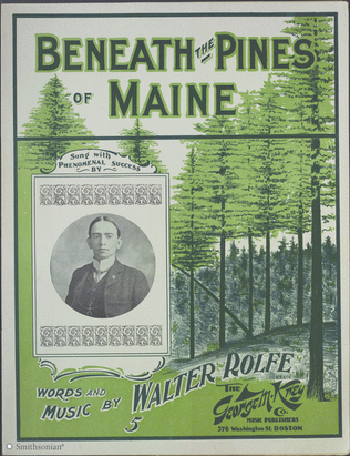 Beneath The Pines of Maine