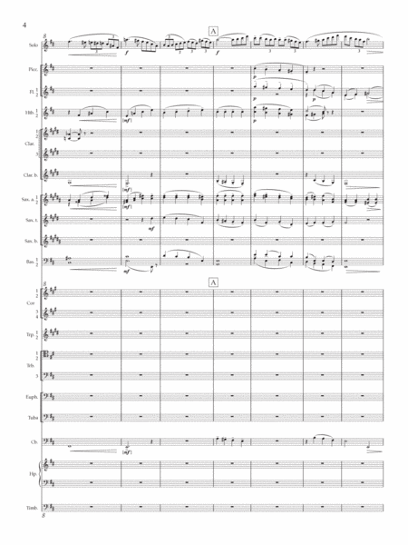 Concertino for Flute image number null