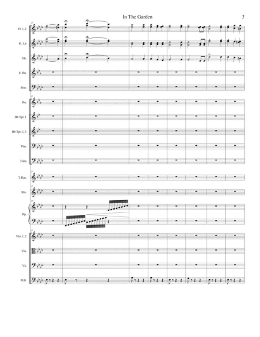 IN THE GARDEN Full Orchestra scores gallery preview page 4