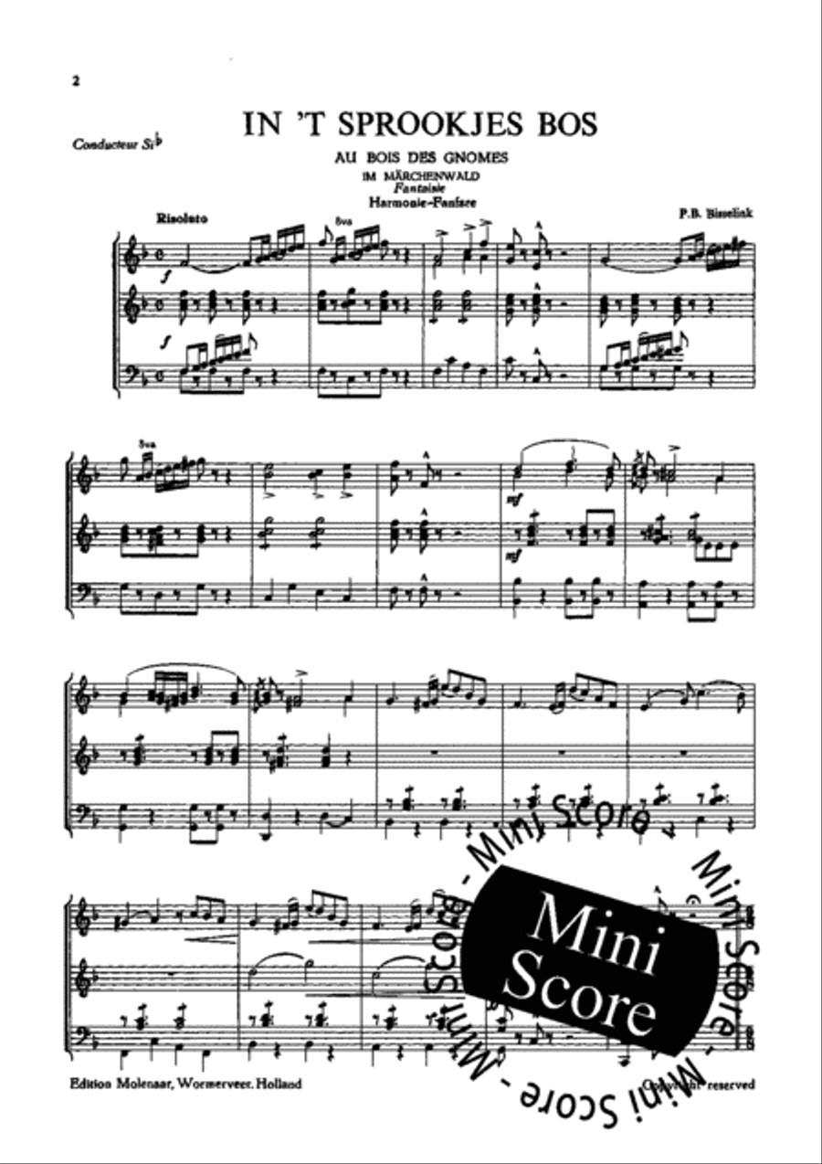In 't Sprookjesbos In 't Sprookjesbos Concert Band scores gallery preview page 5