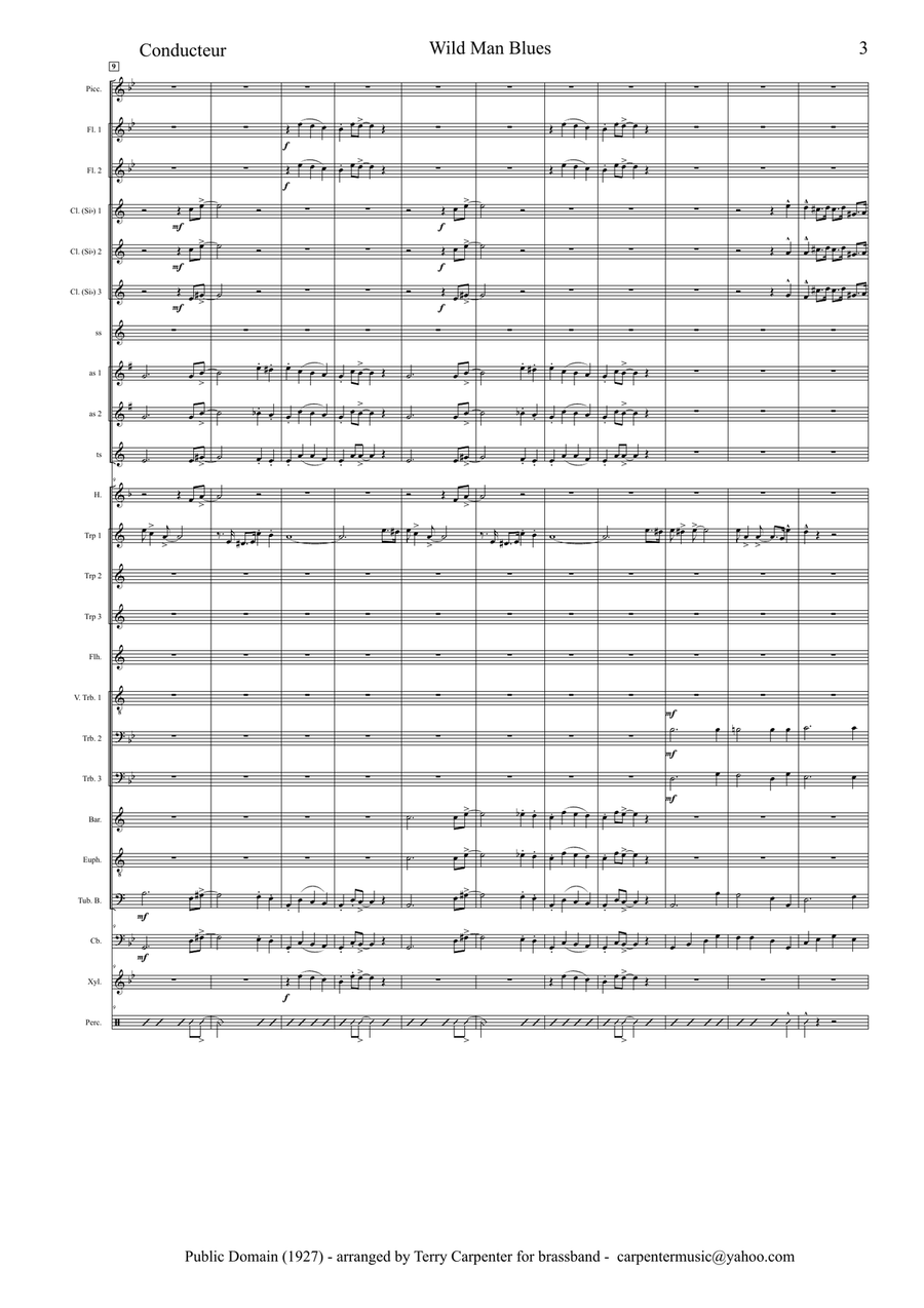 Wild Man Blues (Armstrong) for brassband Jazz Ensemble scores gallery preview page 3
