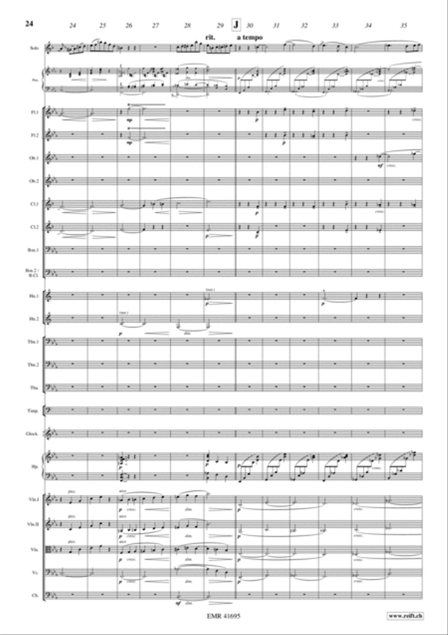 Concerto Orchestra scores gallery preview page 11