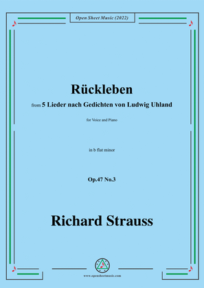 Book cover for Richard Strauss-Rückleben,in b flat minor,Op.47 No.3,for Voice and Piano