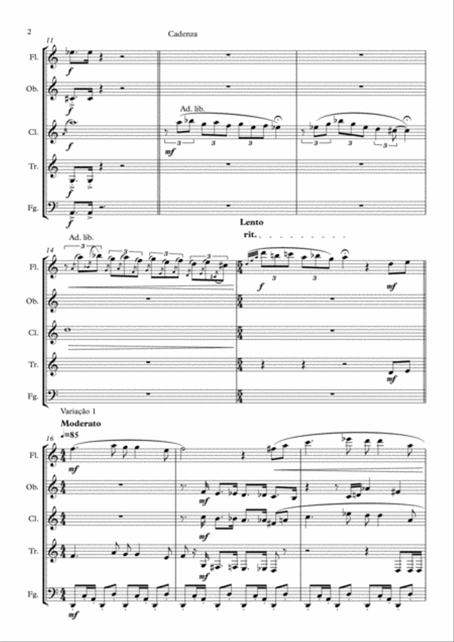 Variações Seresteiras (Woodwind quintet) Woodwind Quintet scores gallery preview page 2