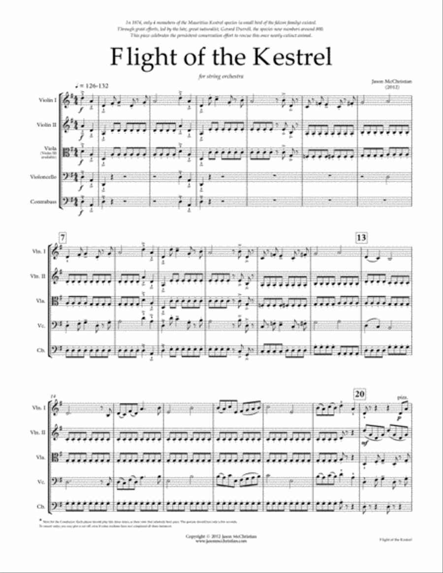 Flight of the Kestrel - for string orchestra String Orchestra scores gallery preview page 3