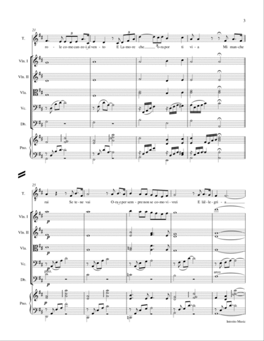 Mi Mancherai Chamber Orchestra scores gallery preview page 3